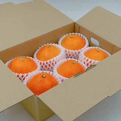 紅まどんな　5～6個