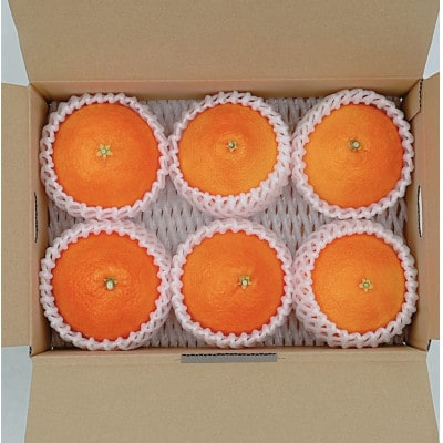 紅まどんな　5～6個