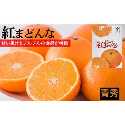 紅まどんな　JAえひめ中央 青秀　L～2Lサイズ