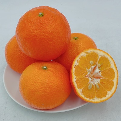 中島産　伊予柑　L～2L　5kg