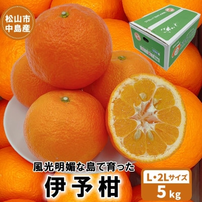 中島産　伊予柑　L～2L　5kg