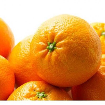 中島産　伊予柑　L～2L　5kg