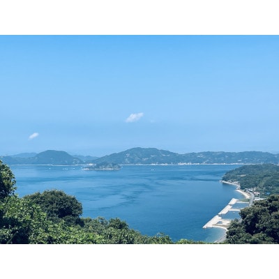 中島産　伊予柑　L～2L　5kg