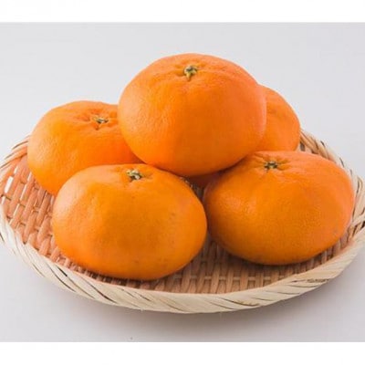 中島産　甘平　秀品　5～6個入