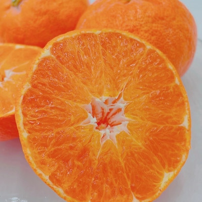 中島産　甘平　秀品　5～6個入