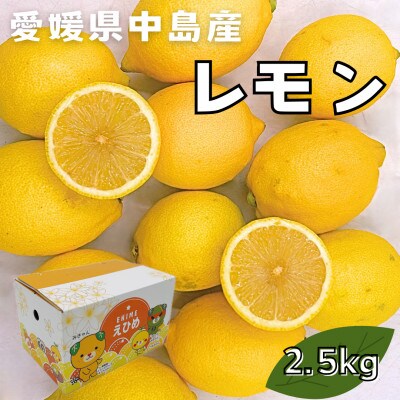 中島産　レモン　2.5kg