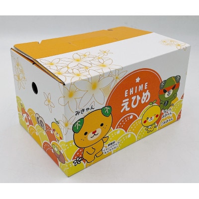 中島産　レモン　2.5kg