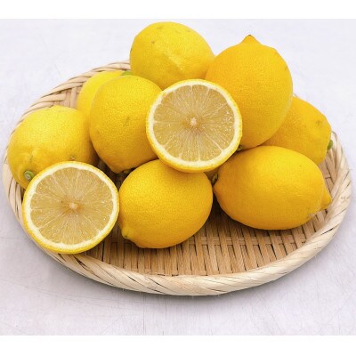 中島産　レモン　2.5kg