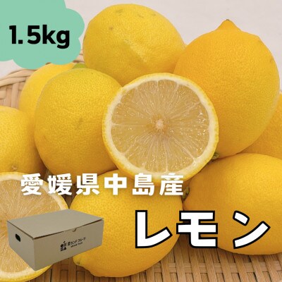 中島産　レモン　1.5kg