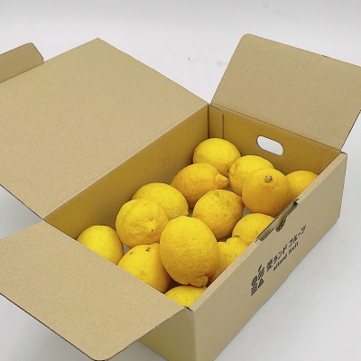中島産　レモン　1.5kg
