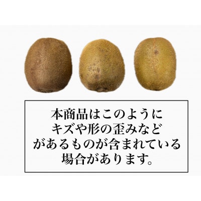 グリーンキウイ M～2Lサイズ　ご家庭用(5kg)