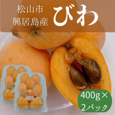 松山市興居島産 びわ 約400g　2パック入り