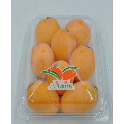 松山市興居島産 びわ 約400g　2パック入り