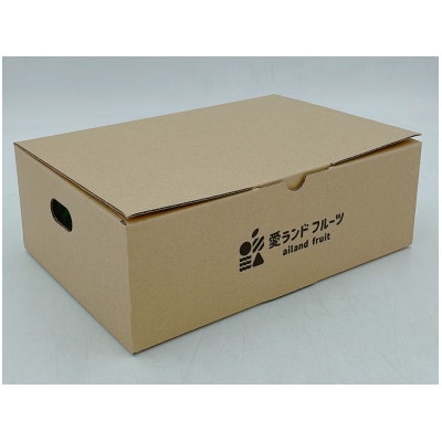 松山市興居島産 びわ 約400g　2パック入り