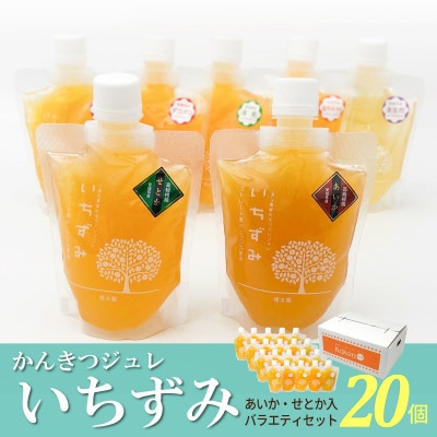 柑橘ジュレ「いちずみ」バラエティセット　 20個入【簡易箱入】