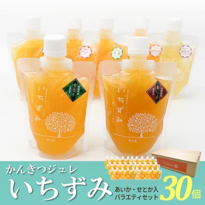 柑橘ジュレ「いちずみ」バラエティセット　 30個入【簡易箱入】