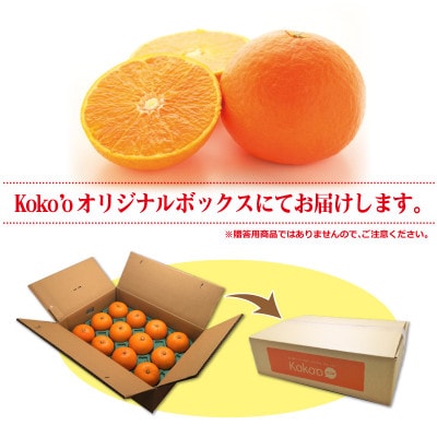 【11月中旬頃から発送予定】愛果28号【家庭用・優品】約3kg