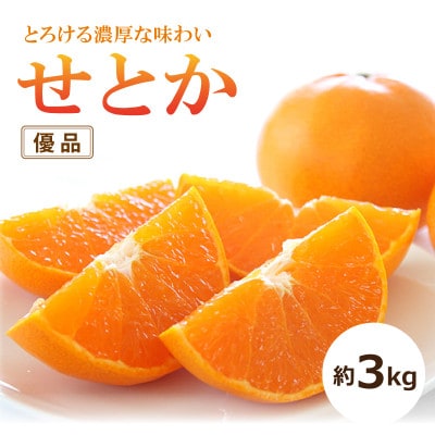 【2026年2月中旬頃から発送予定】せとか <優品> 約3kg
