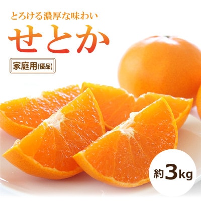 【2026年2月中旬頃から発送予定】せとか <家庭用・優品> 約3kg