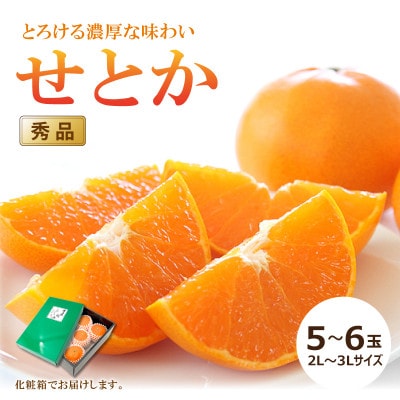 【2026年2月中旬頃から発送予定】せとか ＜秀品＞　(2L-3L / 5-6玉)贈答用化粧箱入り