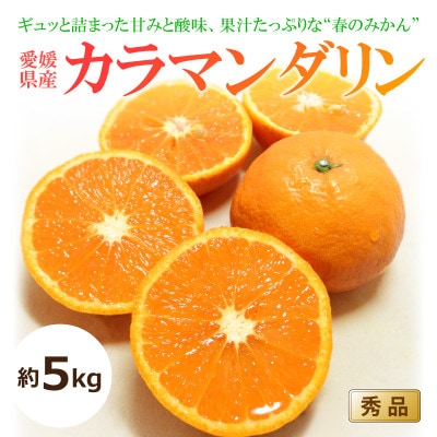 【2025年4月中旬～順次発送】カラマンダリン【秀品】　約5kg