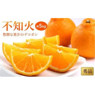 【2026年2月上旬から発送予定】不知火(しらぬい)【秀品】約5kg