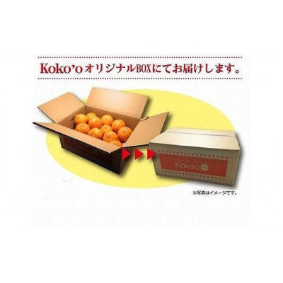 【2026年2月上旬から発送予定】不知火(しらぬい)【秀品】約5kg