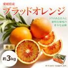 【2026年3月中旬頃から発送予定】ブラッドオレンジ<秀品> 約3kg ギフトBOX入り