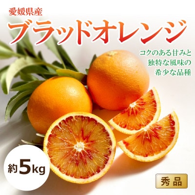 【2026年3月中旬頃から発送予定】ブラッドオレンジ<秀品>約5kg