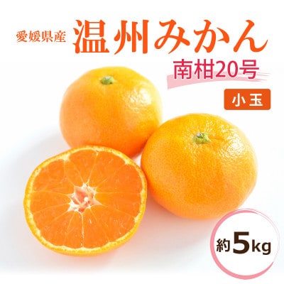 【2025年12月中旬から発送予定】温州みかん「南柑20号」<優品・小玉>約5kg