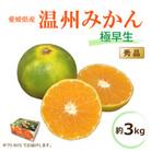 【2025年10月中旬から発送予定】温州みかん 「極早生」<秀品>約3kg【 ギフトBOX 入り 】