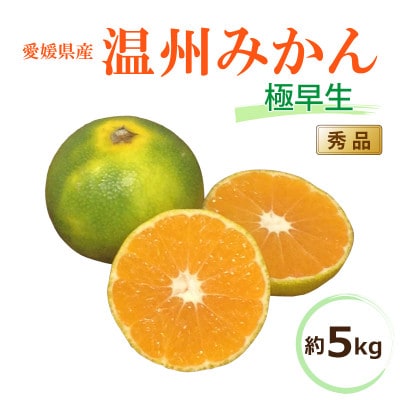 【2025年10月中旬から発送予定】温州みかん「極早生」<秀品>約5kg