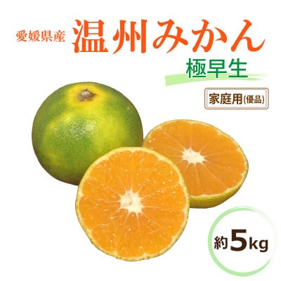 【2025年10月中旬から発送予定】温州みかん「極早生」<優品・家庭用>約5kg