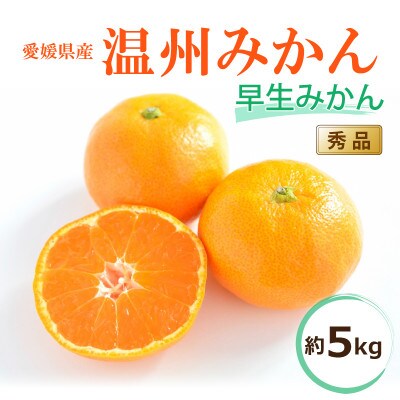 【2025年11月中旬から発送予定】温州みかん「早生」<秀品>約5kg