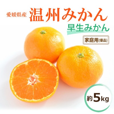 【2025年11月中旬から発送予定】温州みかん「早生」<家庭用・優品>約5kg