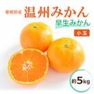 【2025年11月中旬から発送予定】温州みかん「早生」<優品・小玉>約5kg