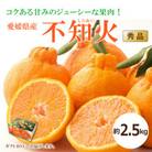 【2026年2月上旬頃から発送予定】不知火(しらぬい)〈秀品〉約2.5kg【ギフトBOX入り】