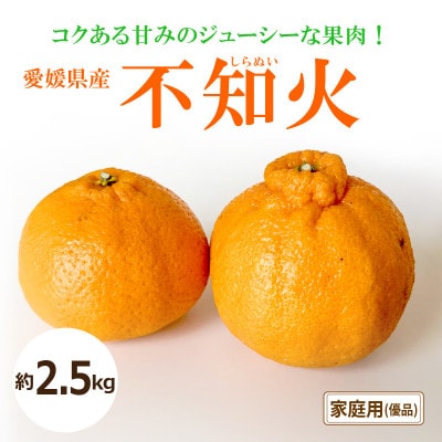 【2026年2月上旬から発送】不知火(しらぬい)(家庭用・優品)約2.5kg