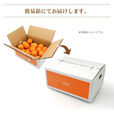 【2025年4月中旬～順次発送】カラマンダリン<優品・家庭用>約3kg