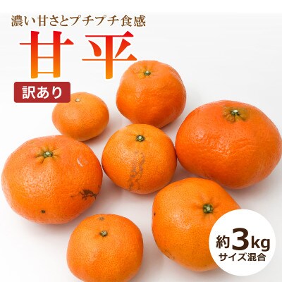 【2026年1月中旬頃から発送予定】甘平(かんぺい)＜訳あり＞　約3kg