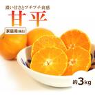 【2026年1月中旬頃から発送予定】甘平(かんぺい)<家庭用・優品> 約3kg