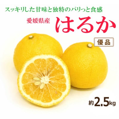 【2026年2月中旬から発送予定】はるか<優品>約2.5kg