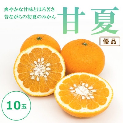 【2025年4月上旬頃～順次発送】甘夏　<優品>　10玉