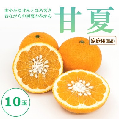 【2026年3月上旬頃～順次発送予定】甘夏　(家庭用・優品)　10玉