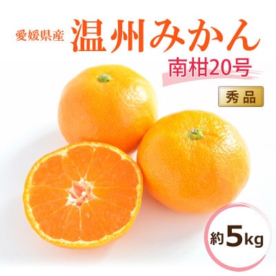 【2025年12月中旬から発送予定】温州みかん「南柑20号」<秀品>約5kg