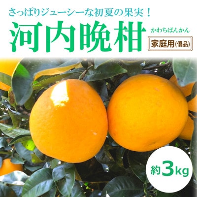 河内晩柑(優品・家庭用)約3kg