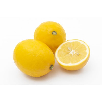 レモン(優品・家庭用)約5kg