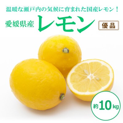 レモン(優品・家庭用)約10kg