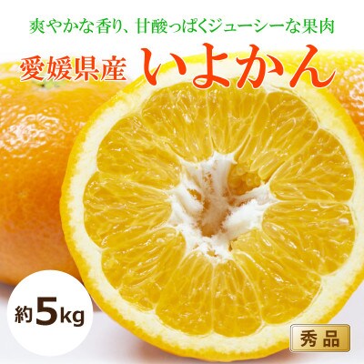 【2026年1月中旬から発送予定】いよかん<秀品>約5kg