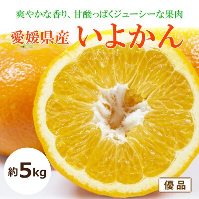 【2026年1月中旬から発送予定】いよかん<優品・家庭用>約5kg